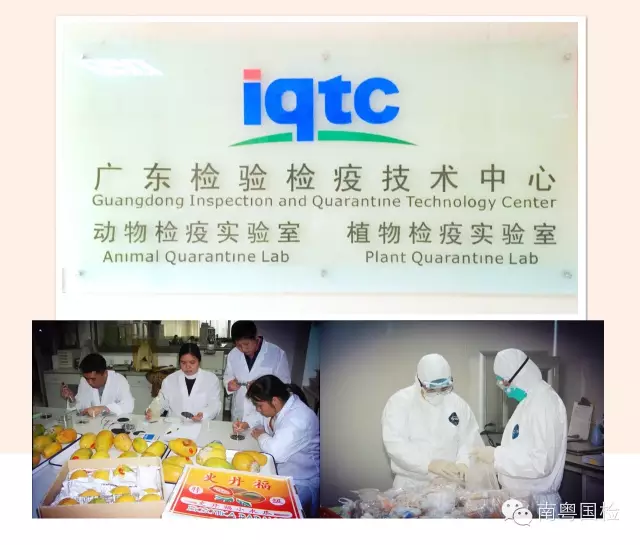 广东检验检疫技术中心十岁啦!